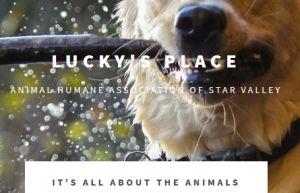 Animal Humane Association of Star Valley
